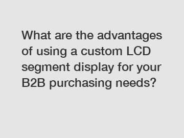 What are the advantages of using a custom LCD segment display for your B2B purchasing needs?